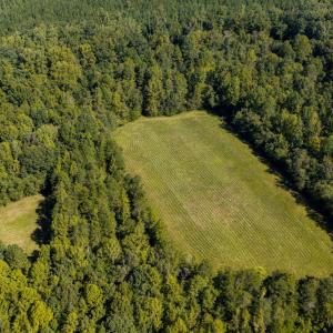 Photo #53 of Lees Mill Road, Drakes Branch, VA 61.5 acres