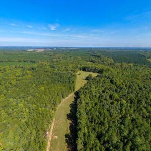 Photo #55 of Lees Mill Road, Drakes Branch, VA 61.5 acres