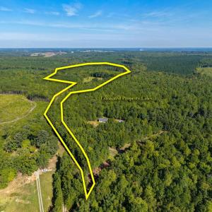 Photo #65 of Lees Mill Road, Drakes Branch, VA 61.5 acres