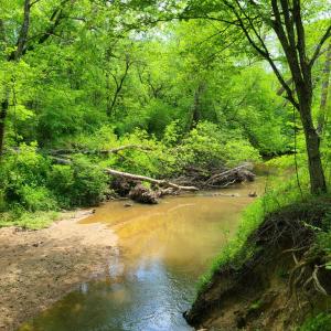 Photo #8 of Lees Mill Road, Drakes Branch, VA 61.5 acres