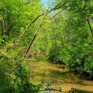 Photo #9 of Lees Mill Road, Drakes Branch, VA 61.5 acres