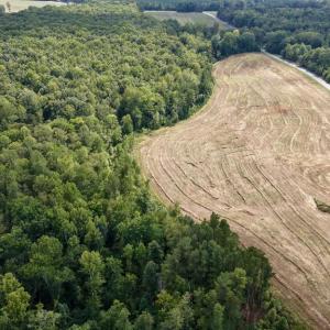 Photo #12 of 617 Banton Shop Road, Dillwyn, VA 44.1 acres