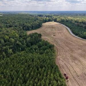 Photo #13 of 617 Banton Shop Road, Dillwyn, VA 44.1 acres