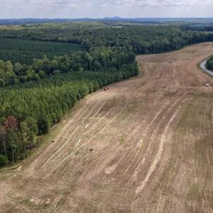 Photo #14 of 617 Banton Shop Road, Dillwyn, VA 44.1 acres