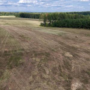 Photo #3 of 617 Banton Shop Road, Dillwyn, VA 44.1 acres