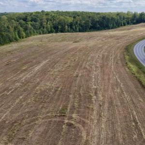 Photo #4 of 617 Banton Shop Road, Dillwyn, VA 44.1 acres