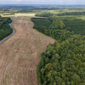 Photo #7 of 617 Banton Shop Road, Dillwyn, VA 44.1 acres