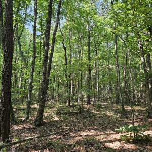 Photo #10 of 604 Meadow Creek, Wingina, VA 5.6 acres