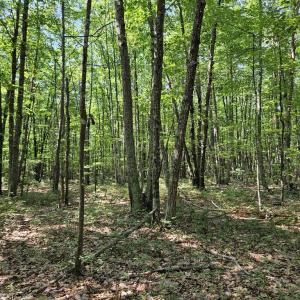 Photo #11 of 604 Meadow Creek, Wingina, VA 5.6 acres