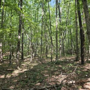 Photo #12 of 604 Meadow Creek, Wingina, VA 5.6 acres