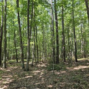 Photo #15 of 604 Meadow Creek, Wingina, VA 5.6 acres