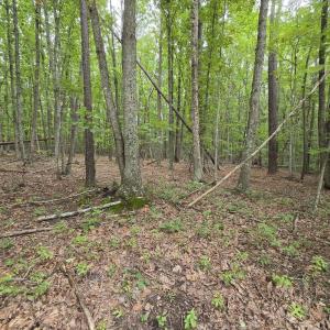 Photo #3 of 604 Meadow Creek, Wingina, VA 5.6 acres
