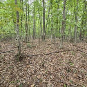 Photo #4 of 604 Meadow Creek, Wingina, VA 5.6 acres