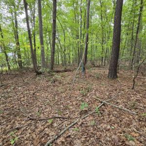 Photo #5 of 604 Meadow Creek, Wingina, VA 5.6 acres