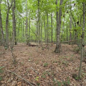 Photo #6 of 604 Meadow Creek, Wingina, VA 5.6 acres