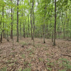 Photo #7 of 604 Meadow Creek, Wingina, VA 5.6 acres