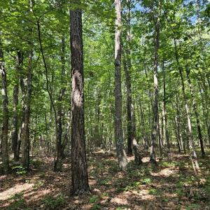 Photo #9 of 604 Meadow Creek, Wingina, VA 5.6 acres