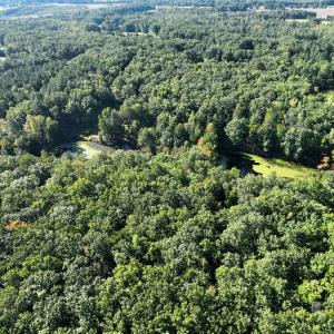 Photo #10 of 10.27 Acre College Park Lane, Keysville, VA 10.3 acres