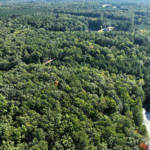 Photo #11 of 10.27 Acre College Park Lane, Keysville, VA 10.3 acres