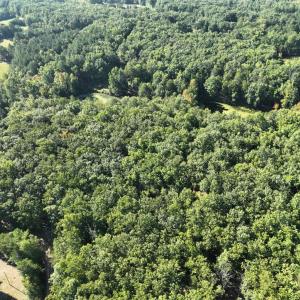 Photo #12 of 10.27 Acre College Park Lane, Keysville, VA 10.3 acres