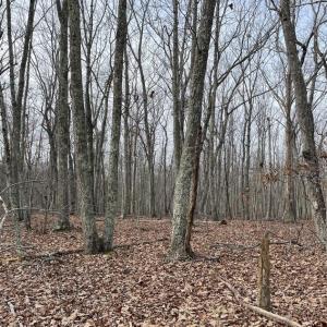 Photo #14 of 10.27 Acre College Park Lane, Keysville, VA 10.3 acres