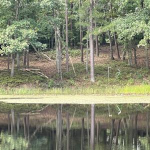 Photo #22 of 10.27 Acre College Park Lane, Keysville, VA 10.3 acres