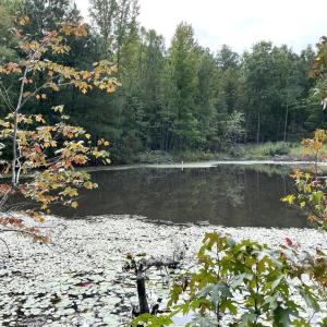 Photo #25 of 10.27 Acre College Park Lane, Keysville, VA 10.3 acres