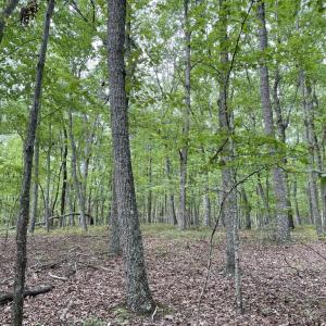 Photo #28 of 10.27 Acre College Park Lane, Keysville, VA 10.3 acres