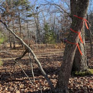 Photo #3 of 10.27 Acre College Park Lane, Keysville, VA 10.3 acres