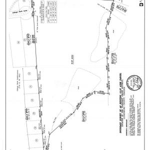 Photo #31 of 10.27 Acre College Park Lane, Keysville, VA 10.3 acres
