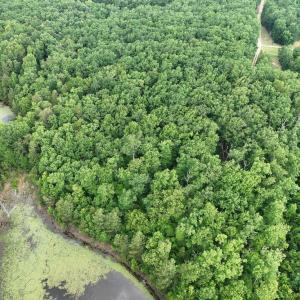 Photo #4 of 10.27 Acre College Park Lane, Keysville, VA 10.3 acres