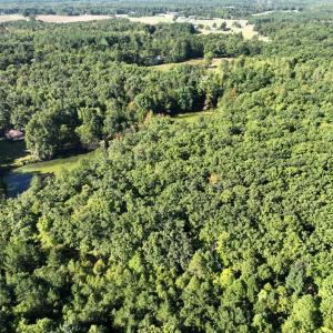 Photo #5 of 10.27 Acre College Park Lane, Keysville, VA 10.3 acres