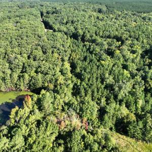 Photo #6 of 10.27 Acre College Park Lane, Keysville, VA 10.3 acres