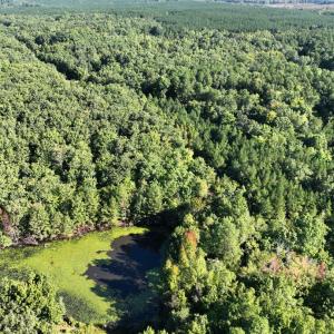 Photo #7 of 10.27 Acre College Park Lane, Keysville, VA 10.3 acres