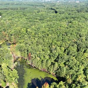 Photo #8 of 10.27 Acre College Park Lane, Keysville, VA 10.3 acres