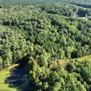 Photo #9 of 10.27 Acre College Park Lane, Keysville, VA 10.3 acres