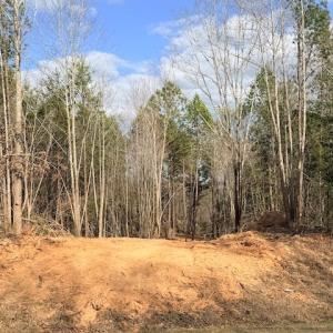 Photo #5 of 631 Trinity Church Rd, South Hill, VA 3.8 acres