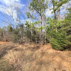 Photo #6 of 631 Trinity Church Rd, South Hill, VA 3.8 acres