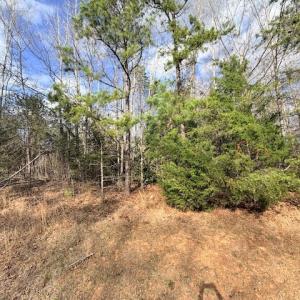 Photo #7 of 631 Trinity Church Rd, South Hill, VA 3.8 acres