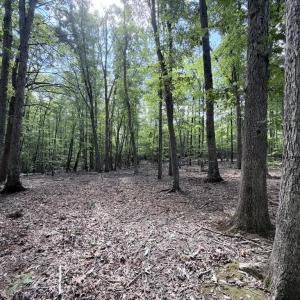 Photo #10 of Piney Mountain Lane, Shipman, VA 12.1 acres