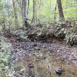 Photo #11 of Piney Mountain Lane, Shipman, VA 12.1 acres