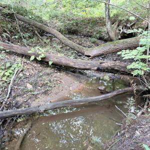 Photo #13 of Piney Mountain Lane, Shipman, VA 12.1 acres