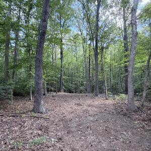 Photo #17 of Piney Mountain Lane, Shipman, VA 12.1 acres