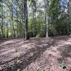 Photo #18 of Piney Mountain Lane, Shipman, VA 12.1 acres