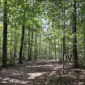 Photo #2 of Piney Mountain Lane, Shipman, VA 12.1 acres