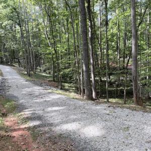 Photo #8 of Piney Mountain Lane, Shipman, VA 12.1 acres