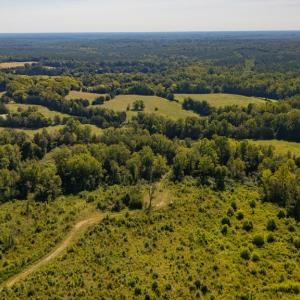 Photo #10 of 00 Mountain Hall, Crewe, VA 17.0 acres