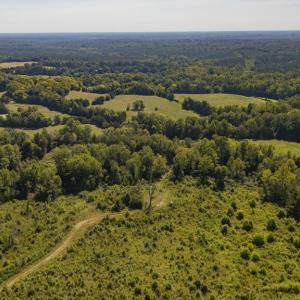 Photo #11 of 00 Mountain Hall, Crewe, VA 17.0 acres