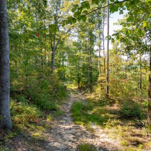 Photo #4 of 00 Mountain Hall, Crewe, VA 17.0 acres