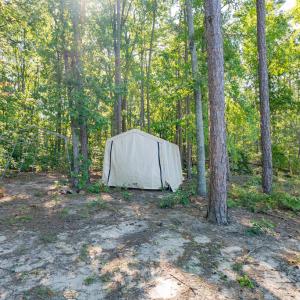 Photo #5 of 00 Mountain Hall, Crewe, VA 17.0 acres